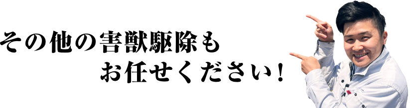 その他の害獣駆除もお任せください！