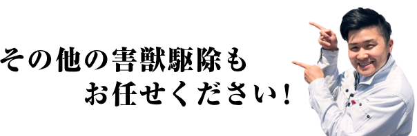 その他の害獣駆除もお任せください！