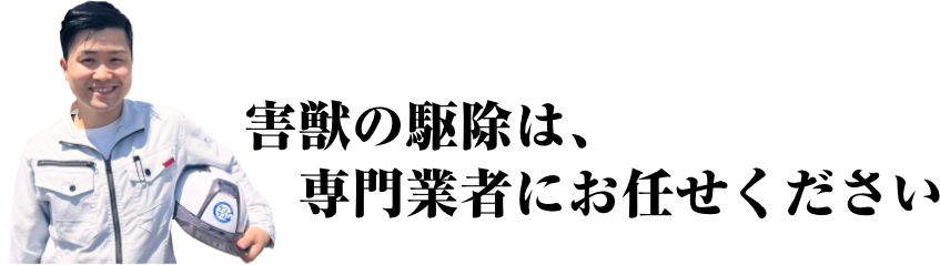 害獣の駆除は専門業者にお任せ下さい