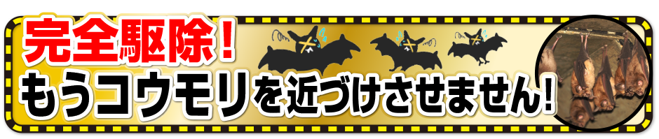 コウモリ駆除