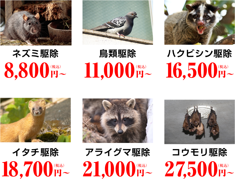 施工業者によって、トータルコストが変わってきます 画像