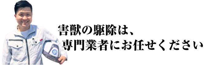 害獣の駆除は専門業者にお任せ下さい