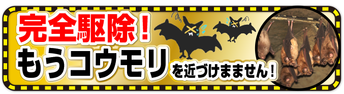 コウモリ駆除